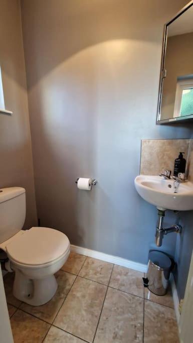 Willa Westland Retreat - Magherafelt - Mid Ulster - Nitb Approved Zewnętrze zdjęcie